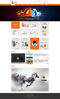 網站設計 從網頁到整體的藝術與科學